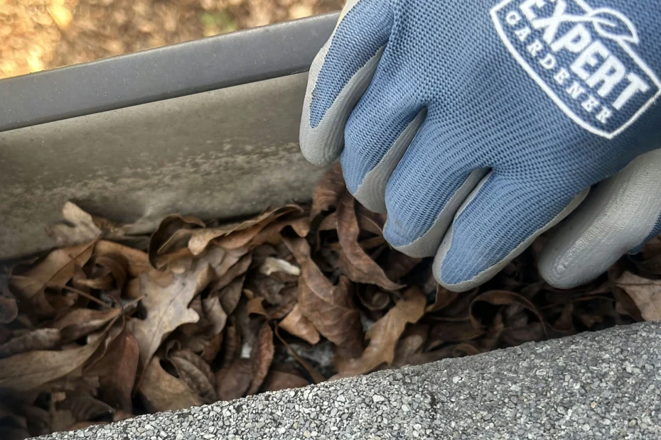 Gutter Cleaning Berea