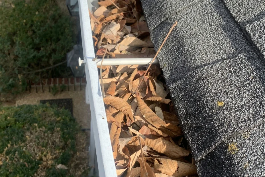 Gutter Cleaning Berea